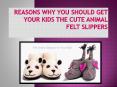 Reasons Why You Should Get Your Kids the Cute Animal Felt Slippers