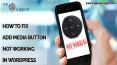 How to Fix Add Media Button Not Working in WordPress. PowerPoint PPT Presentation