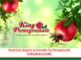 Important Aspects to Consider for Pomegranate Cultivation in India PowerPoint PPT Presentation