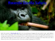 Rwanda Gorilla Safaris