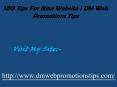 SEO Tips For New Website | DM Web Promotions Tips (4) PowerPoint PPT Presentation