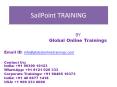 SailPoint Training | Best SailPoint Identity IQ 7.x Online Course -GOT PowerPoint PPT Presentation