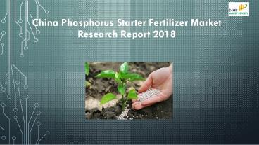 China Phosphorus Starter Fertilizer Market Research Report 2018