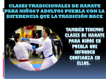 Estilo de karate tradicional Puebla
