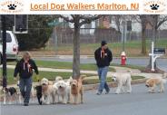 Local Dog Walkers Marlton NJ