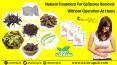Natural Treatment for Gallstone Removal without Operation at Home PowerPoint PPT Presentation