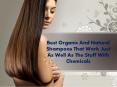 Best Organic And Natural Shampoos That Work Just As Well As The Stuff With Chemicals PowerPoint PPT Presentation