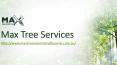 Tree Stump Removal Melbourne | Max Tree Services PowerPoint PPT Presentation