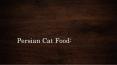 Persian Cat Food PowerPoint PPT Presentation