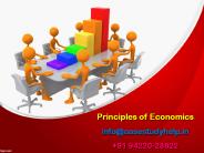 Describe Capitalist Economy and its defects