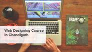 web designing course in chandigarh