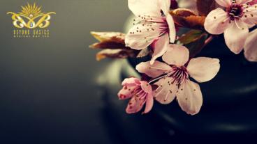 A reliable ELOS laser hair removal treatment in the Cayman Islands