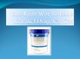 The Right Way To Use A 12 Panel Drug Test Cup PowerPoint PPT Presentation