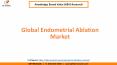 Global Endometrial Ablation Market Size and Market Share PowerPoint PPT Presentation