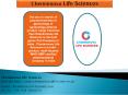 Cheminnova Life Sciences PowerPoint PPT Presentation