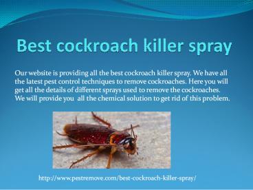 BEST COCKROACH KILLER SPRAY