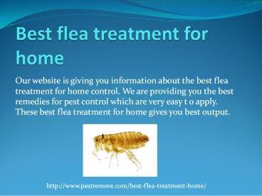 BEST FLEA TREATMENT FOR HOME