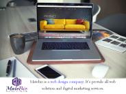 Choose Professional Web Design Company at Reasonable Price