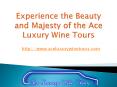 Experience the Beauty and Majesty of the Ace Luxury Wine Tours PowerPoint PPT Presentation