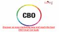 CBO Email List, Chief Business Officers Email List, CBO Mailing List, Chief Business Officers Email Addresses