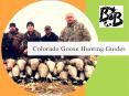 Colorado Goose Hunting Guides PowerPoint PPT Presentation