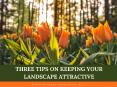 3 Best Tips on Keeping Your Landscape Attractive - DPI PowerPoint PPT Presentation