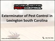 Professional Exterminator of Pest Control in Lexington SC