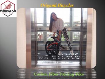 Carbon Fiber Folding Bike