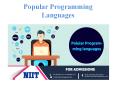 Popular programming languages (1) PowerPoint PPT Presentation