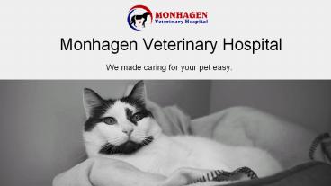 Best Animal Hospital in Middletown