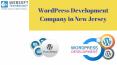 Best WordPress Development Company in New Jersey PowerPoint PPT Presentation