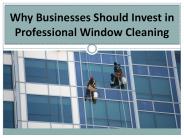 Why Businesses Should Invest in Professional Window Cleaning