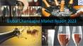 Global Champagne Market by Manufacturers, Regions, Type and Application, Forecast to 2023 PowerPoint PPT Presentation