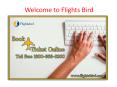 Book You Direct Flights From Chicago (MDW) To Salt Lake City (SLC) With  flightsbird.com