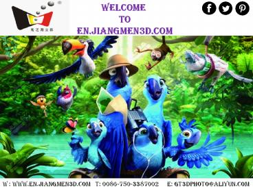 Lenticular Lens Sheet