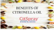 benefits of citronella oil