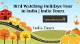 Bird Watching Holidays Tour in India | India Tours