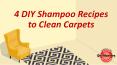 4 DIY Shampoo Recipes to Clean Carpets PowerPoint PPT Presentation