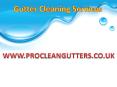 Best Professional Gutter Cleaning Services in Essex PowerPoint PPT Presentation