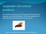 CARPENTER ANT CONTROL PRODUCTS