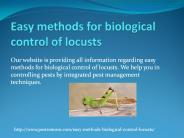 Easy methods for biological control of locusts