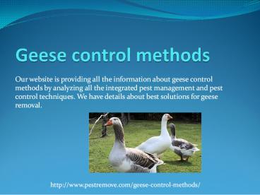GEESE CONTROL METHODS