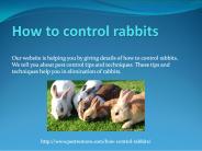 HOW TO CONTROL RABBITS