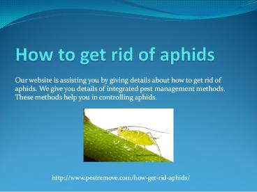 HOW TO GET RID OF APHIDS