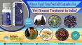 Where Can I Find No Fall Capsules for Wet Dreams Treatment in India? PowerPoint PPT Presentation