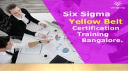 What is Six Sigma Yellow Belt Certification?