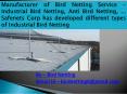 Bird proofing solutions are effective and essential in the industries. PowerPoint PPT Presentation