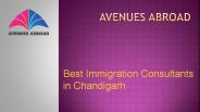 Best Immigration Consultants in Chandigarh