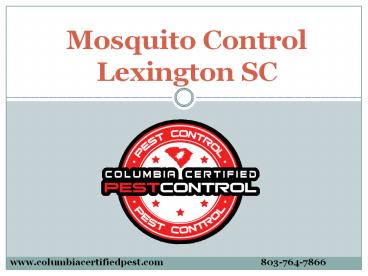 Do you Need Mosquito Control Service in Lexington SC?