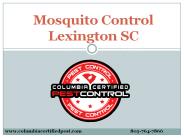 Do you Need Mosquito Control Service in Lexington SC?